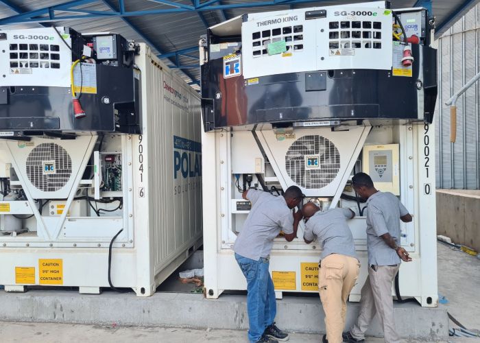 temperature sensitive logistics Djibouti