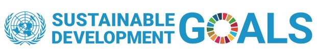 SDG logo
